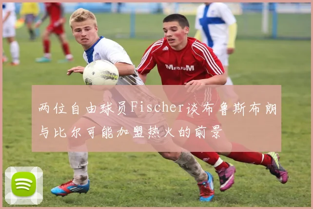 两位自由球员Fischer谈布鲁斯布朗与比尔可能加盟热火的前景