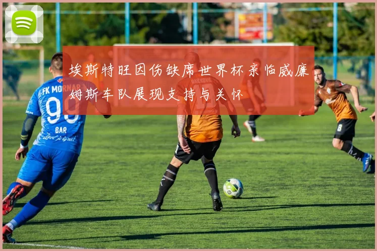 埃斯特旺因伤缺席世界杯亲临威廉姆斯车队展现支持与关怀